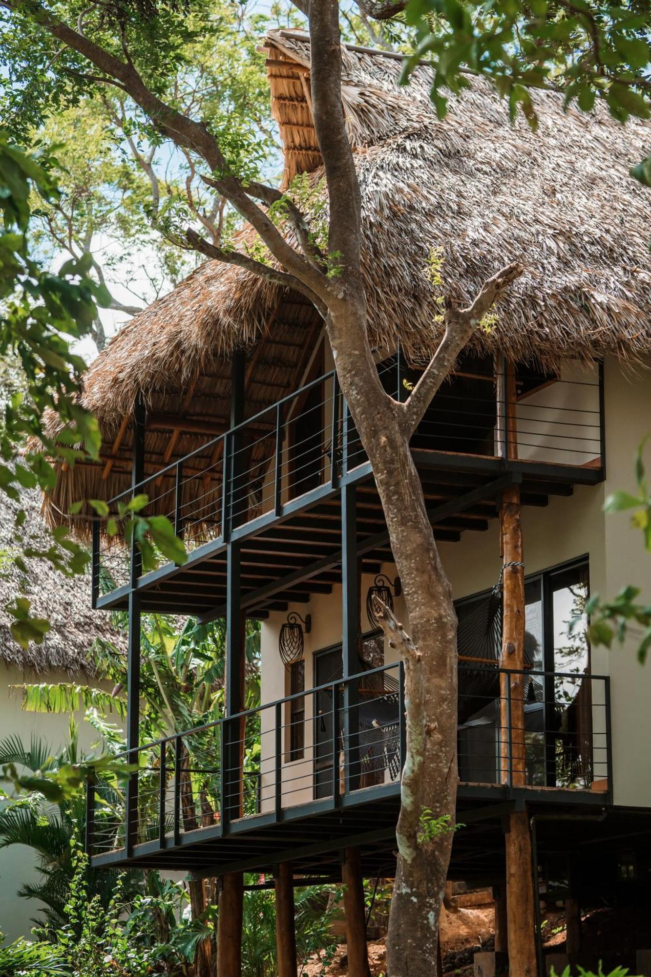 Treecasa & Nicaragua Hotel 3*